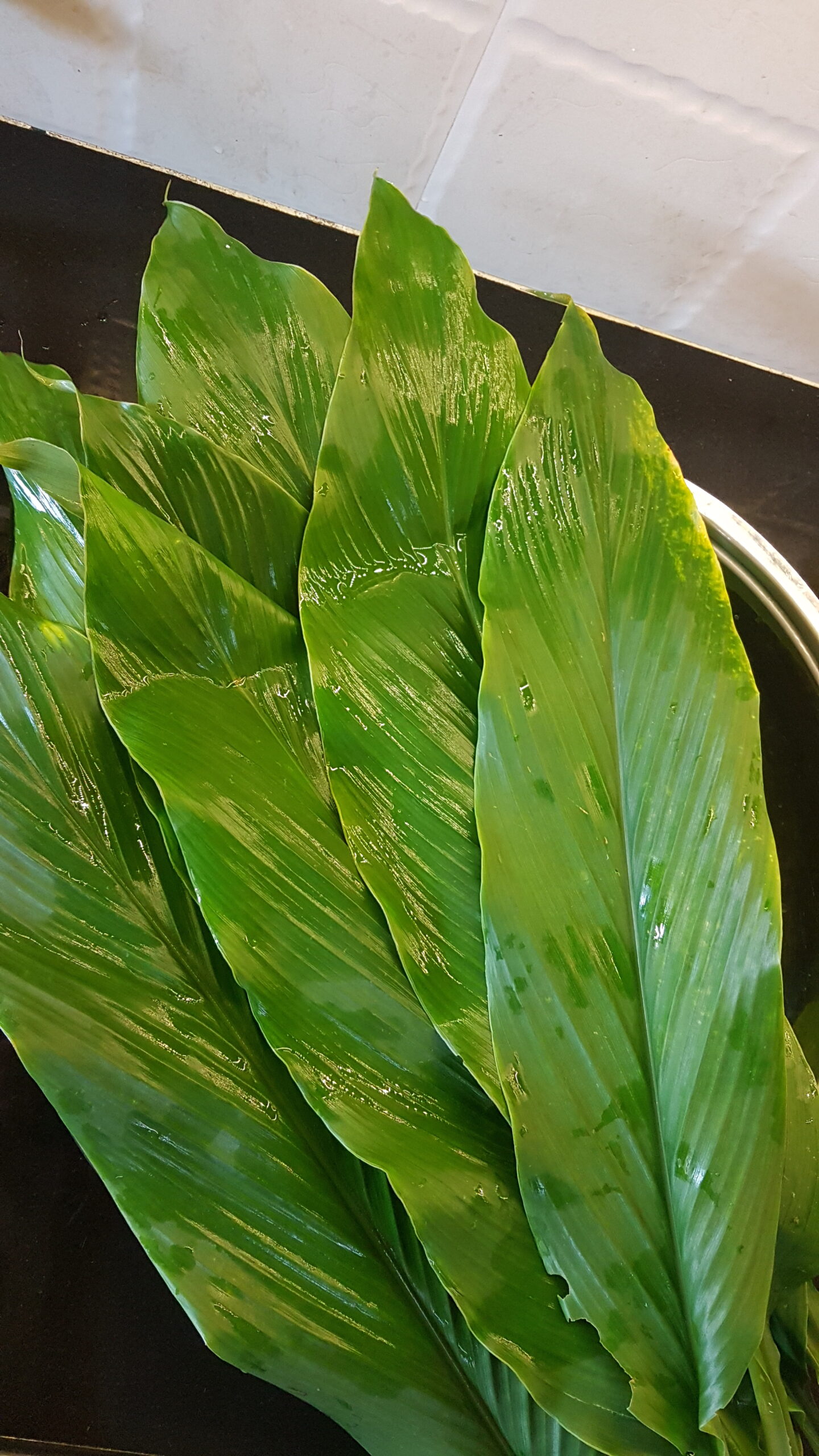 Fresh turmeric leaves for Patoli