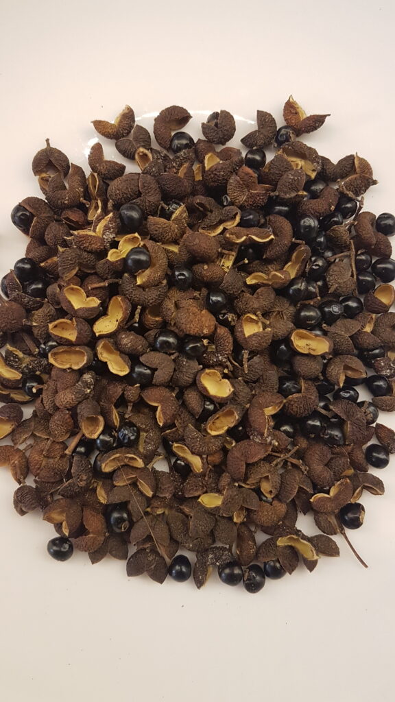 Dried tefla with seeds