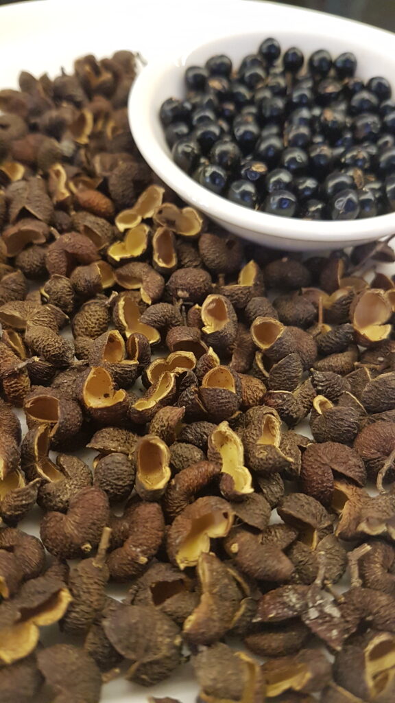 Dried tefla/teppal with discarded seeds