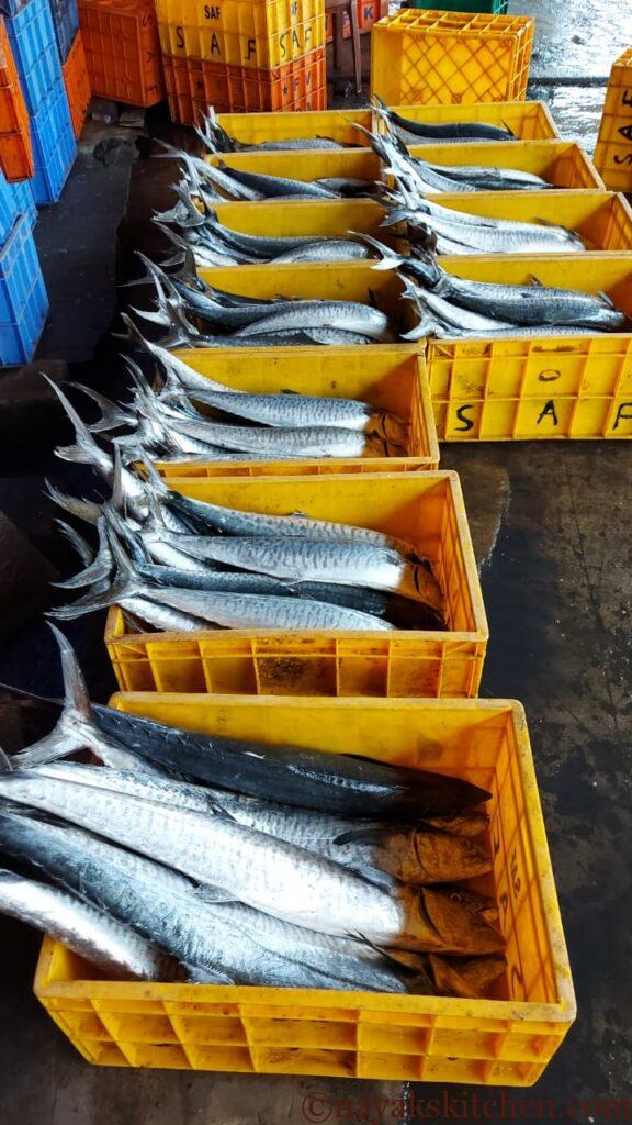 Kingfish in the market