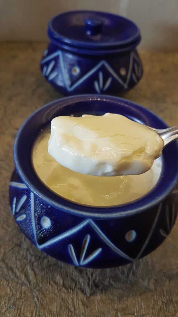 Thick, creamy homemade curd