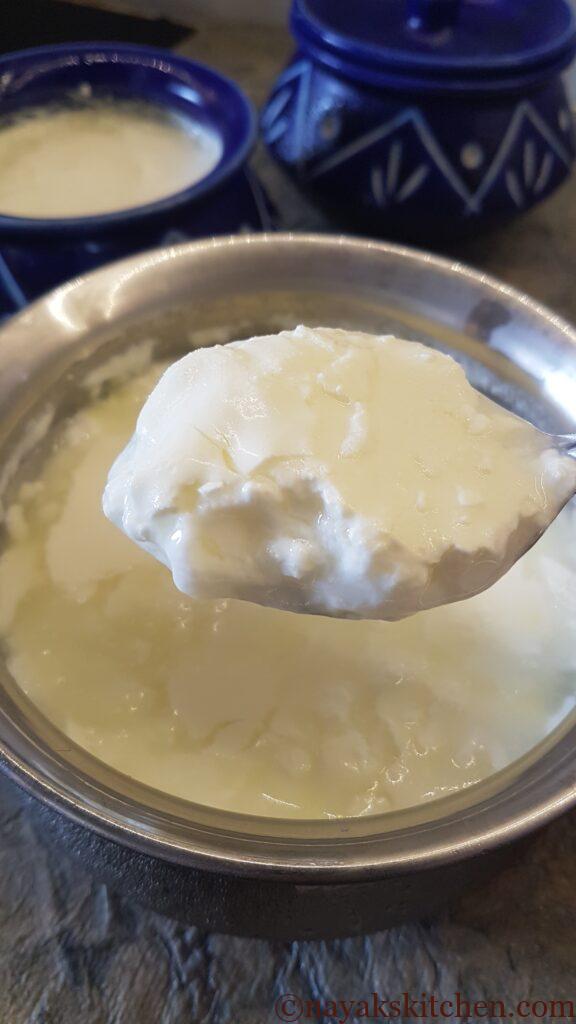 Homemade curd set in a steel container