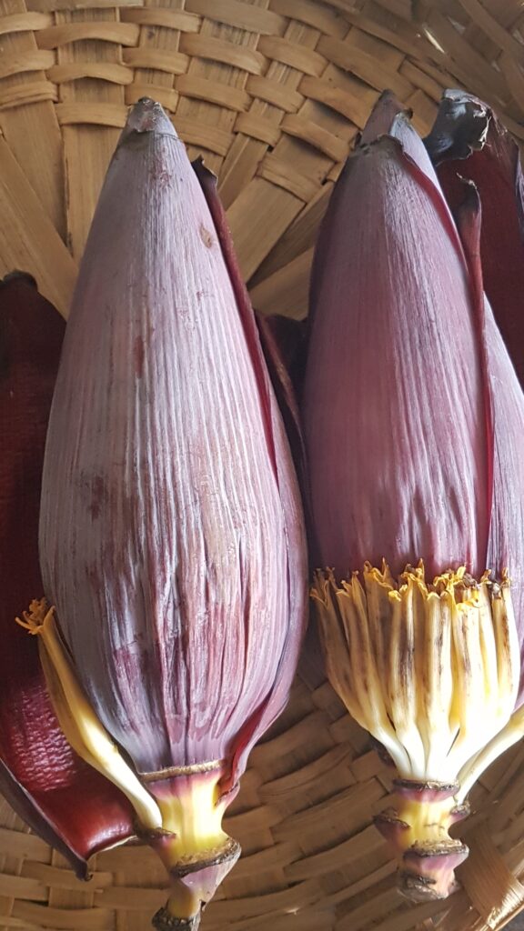 Banana Flower