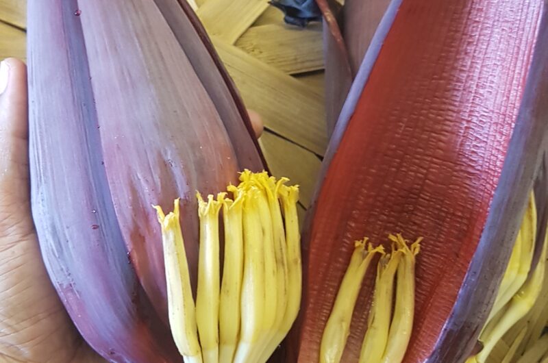 How to clean Banana Flower? | How to clean Banana Blossom?
