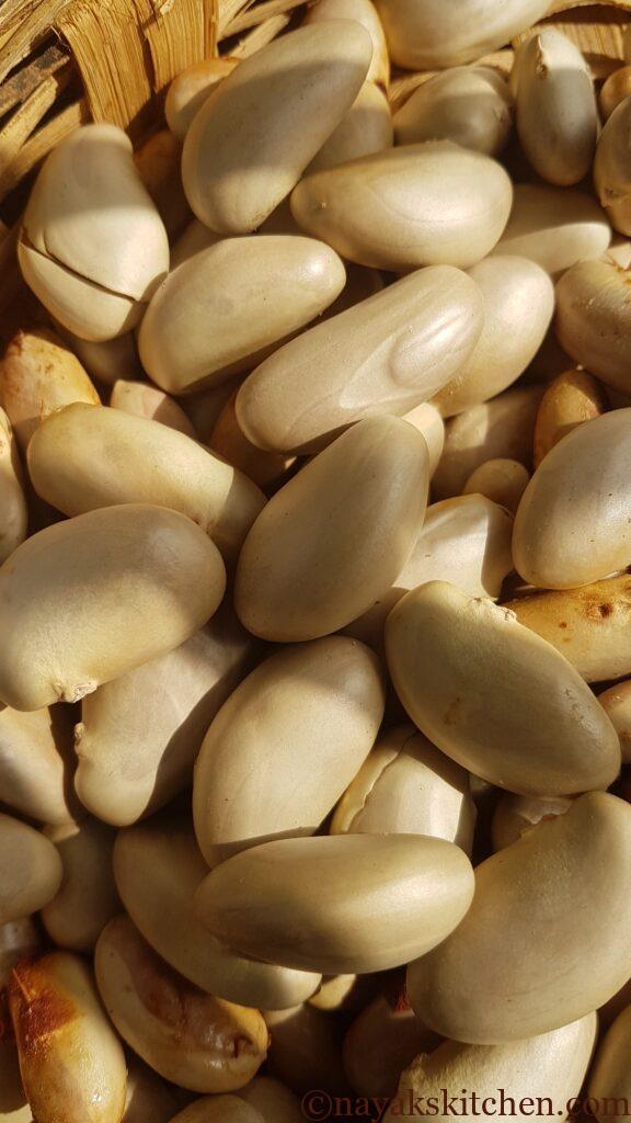 Jackfruit seeds
