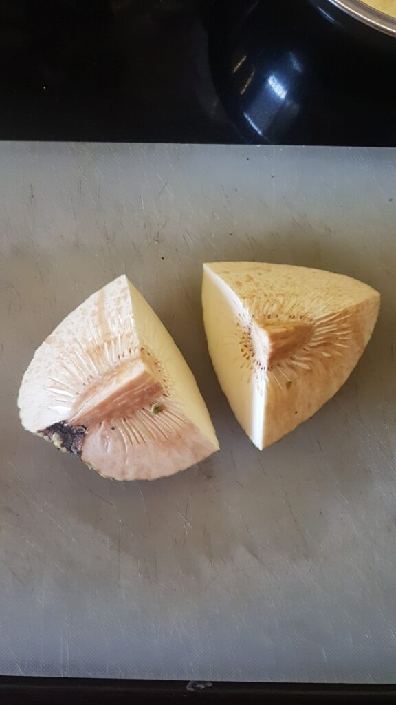 Small cut piece of breadfruit
