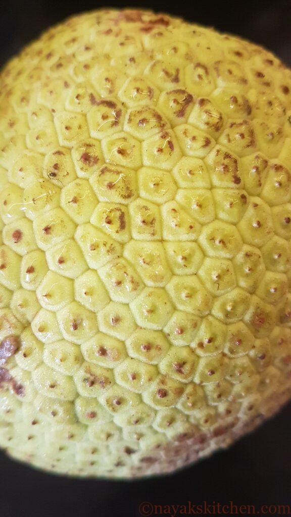 Closeup of a breadfruit