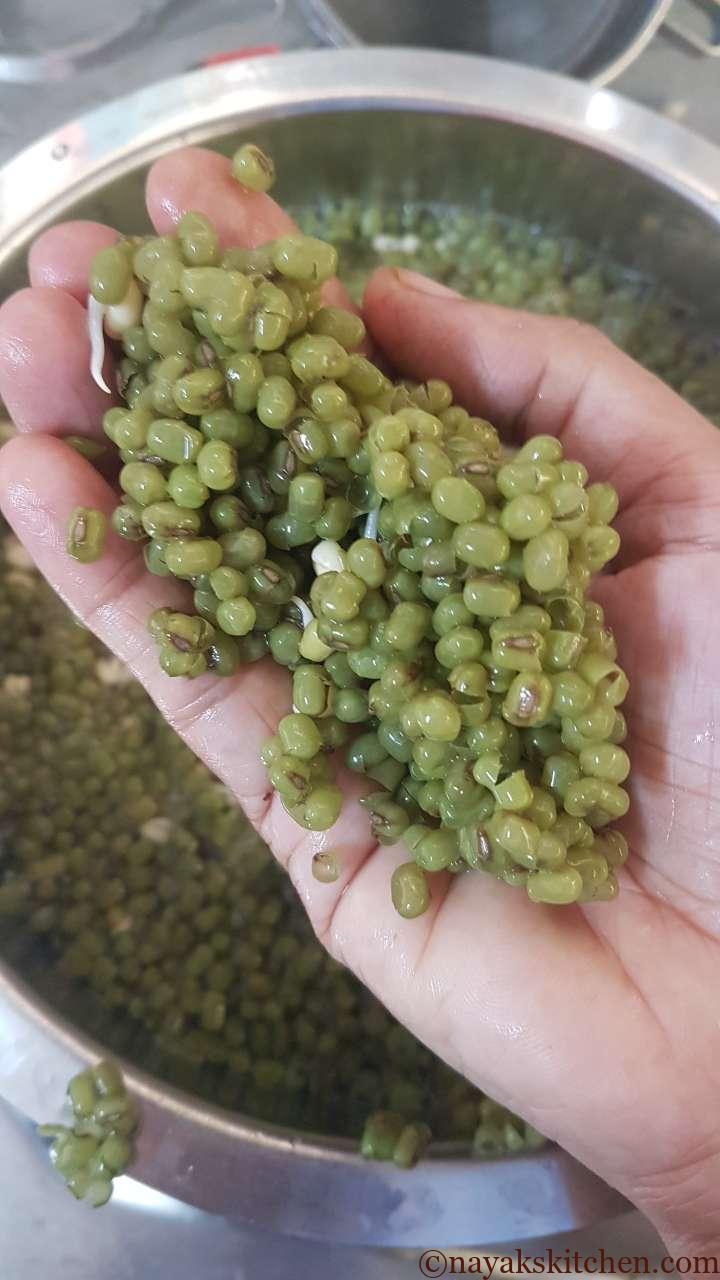 Skin of sprouts separated