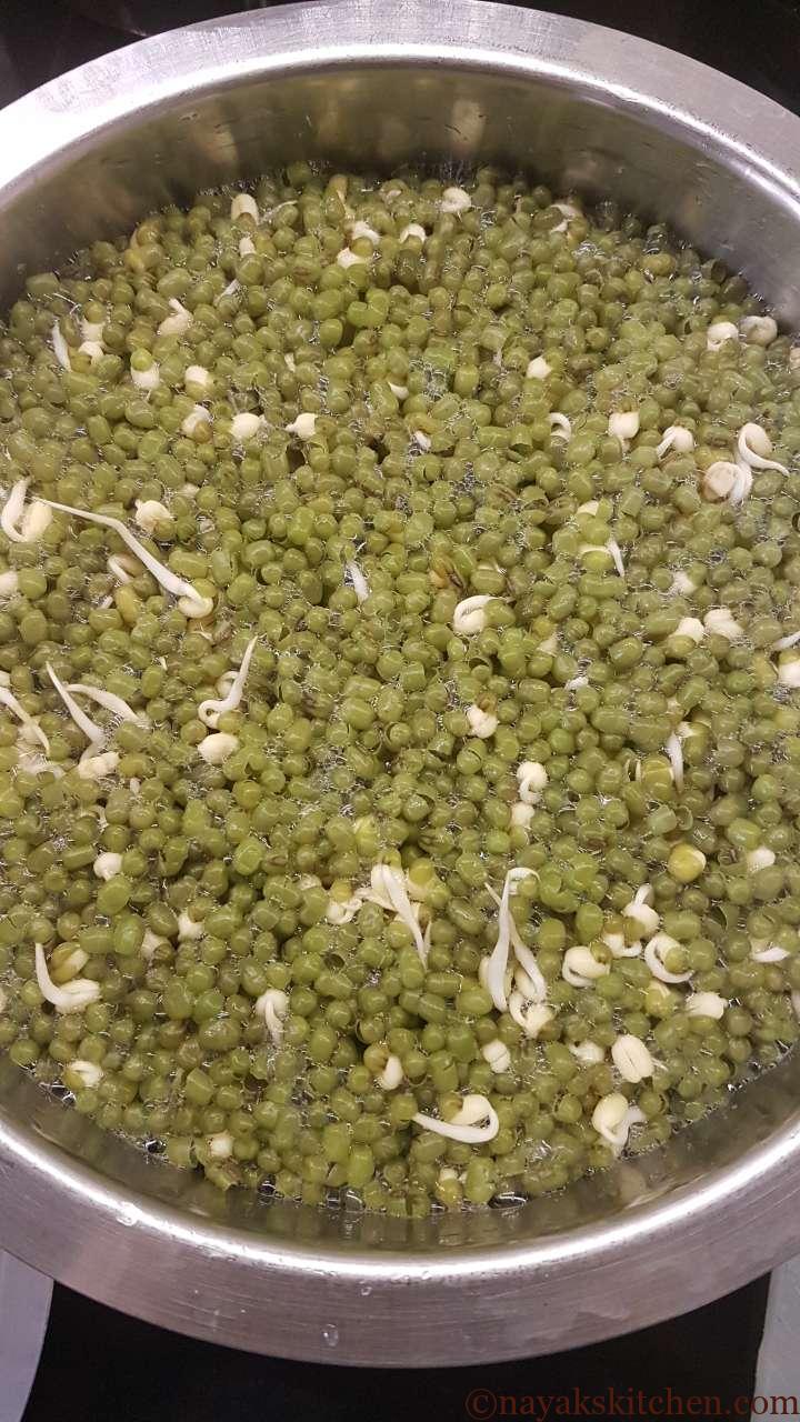 Skin of germinated green gram floating above the water