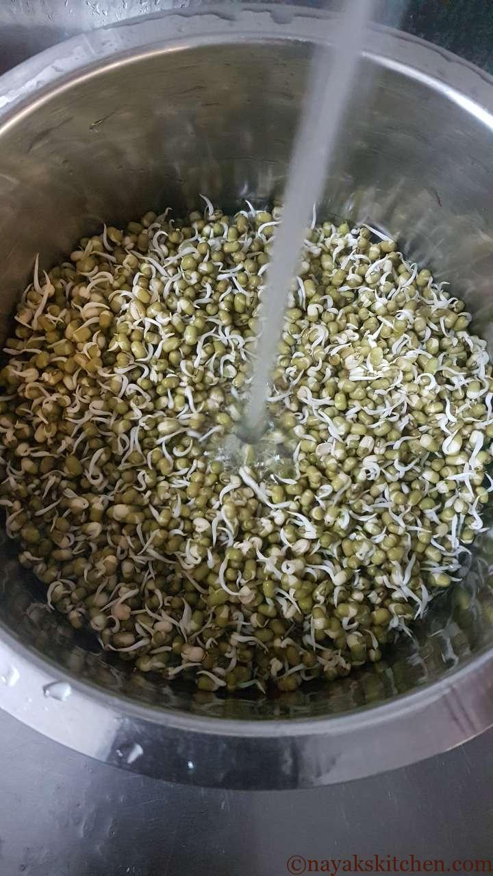 Adding water to germinated mung beans