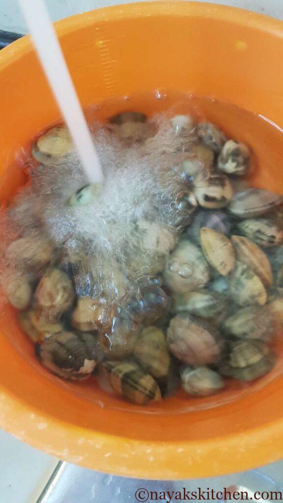Washing Tisreo (Clams)